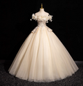 Elegant Champagne One-Shoulder 3D Floral Tulle Long Ball Gown Evening Dresses Sweet 16 Dresses